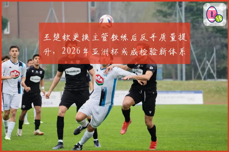 王楚钦更换主管教练后反手质量提升,2026年亚洲杯或成检验新体系关键